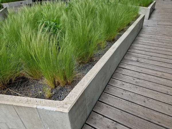 stipa capilata çiçek tarhlı çakıl taşları beton yükseltilmiş küp kenarları 6 cm sıra halinde kaldırım yüzeyi gri granit arka plan fayansları