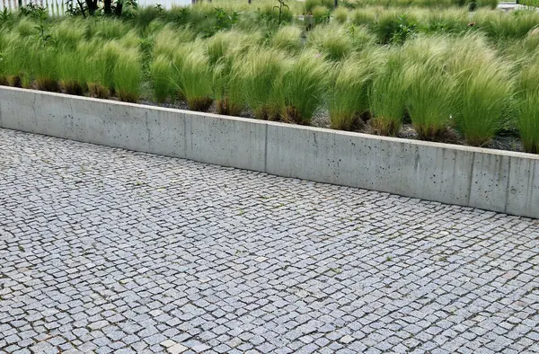 stipa capilata çiçek tarhlı çakıl taşları beton yükseltilmiş küp kenarları 6 cm sıra halinde kaldırım yüzeyi gri granit arka plan fayansları