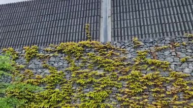 Yüksek setin üzerinde çelik örgüden yapılmış bir kafesi olan beton bir anti-gürültü duvarı var. Yerleşim alanlarını trafik gürültüsünden korur. Çizgili yapısal yüzeyler parçalanan sesler, gabion duvarlar