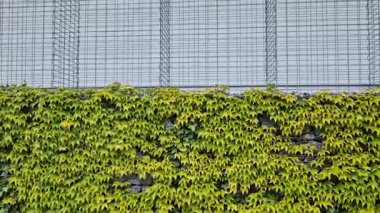 Gabion kablo sepeti, kafes. Doğal endüstriyel görünümüyle ön bahçede çit var. Galvanize kablodan yapılmış. Katlanmış taşlarla dolu istinat duvarı. Gürültü bariyeri yerleşim alanını koruyor.