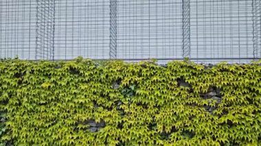 Gabion kablo sepeti, kafes. Doğal endüstriyel görünümüyle ön bahçede çit var. Galvanize kablodan yapılmış. Katlanmış taşlarla dolu istinat duvarı. Gürültü bariyeri yerleşim alanını koruyor.