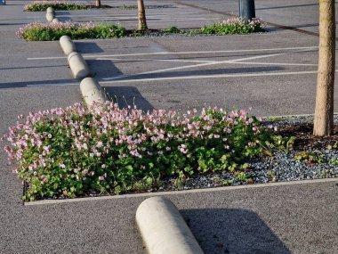 Silindir şeklinde bir durağı olan bir otopark. Asfalttan yapılmış bir park alanının sonundaki engele yaklaşırken aracın tekerleklerini durdurmak. Yolları ayıran engeller 
