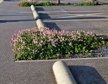 Silindir şeklinde bir durağı olan bir otopark. Asfalttan yapılmış bir park alanının sonundaki engele yaklaşırken aracın tekerleklerini durdurmak. Yolları ayıran engeller 