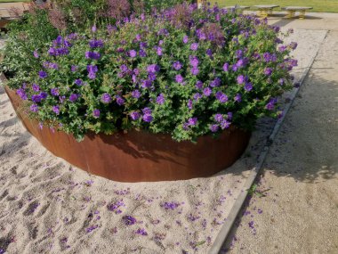 Çiçek tarlasının oval elipsi paslı metal bir levha ile kaplıdır. Uzun ömürlüler çiçek açıyor. Park özellikleri ve çocuk parkı olan kum havuzu. yuvarlak kenar, basamak, beton