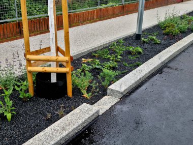 Yoldan gelen su kaldırımdaki boşluklardan ve asfaltın kenarlara doğru eğiminden emilir. Ebedi çiçek yatakları büyüme için suyu emer. Çakıl taşlarıyla gübreleme