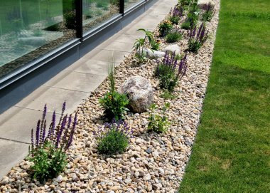 Uzun ömürlü çiçek tarhı, gri granitten yapılmış taşlar, şehir bahçesinde saman taşları, çayır, süs otları, havuzun kenarında çimenlik çakıl taşları.