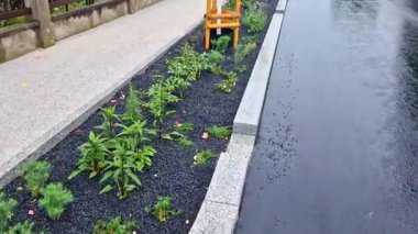 Yoldan gelen su kaldırımdaki boşluklardan ve asfaltın kenarlara doğru eğiminden emilir. Ebedi çiçek yatakları büyüme için suyu emer. Çakıl taşlarıyla gübreleme