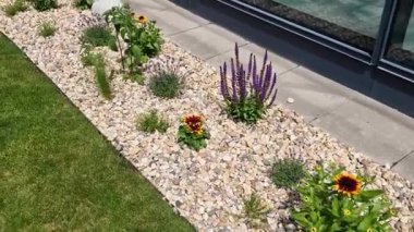 Uzun ömürlü çiçek tarhı, gri granitten yapılmış taşlar, şehir bahçesinde saman taşları, çayır, süs otları, havuzun kenarında çimenlik çakıl taşları.