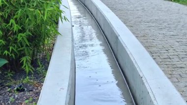 Beton oluklar, sulama kanalları, pürüzsüz beton duvarın etrafındaki çiçek yatakları anaokulunun bahçesindeki parkta akıntı. Bir pompadan göle akan suyun yanındaki büyük hostes yaprakları.