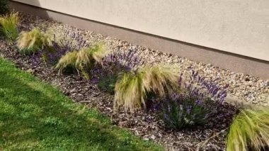 Süslü otlarla dolu çiçek tarhı sonbahar güneşinde kuru yapraklar sarı yaprak demetleri parlar. Arka plandaki çalılıklarda ve boynuz direğinin yaşam alanında. Kahverengi yapraklar çimenlik, kaldırım taşı, kumtaşı