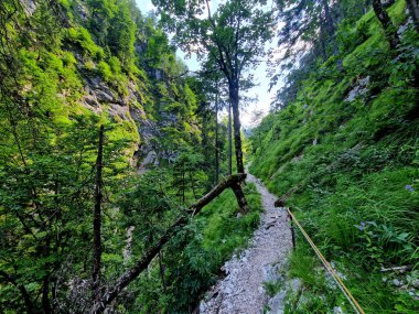 Patika dik bir yamaçta. Alttaki patikaya düşme riski var. Korumalı çit diğer turistleri gevşek kaya ve iplerden korur.