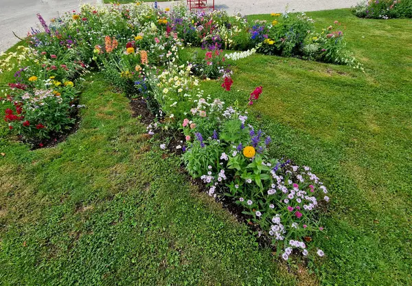 Çimenlikteki dikdörtgen bir parkta yıllık çiçek tarhı. Yayaların olduğu bölgede mükemmel bir çiçek tarhı beyaz ve mor renkli banklar, merdiven, duvar