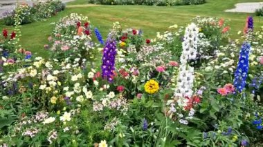 Çimenlikteki dikdörtgen bir parkta yıllık çiçek tarhı. Yayaların olduğu bölgede mükemmel bir çiçek tarhı beyaz ve mor renkli banklar, merdiven, duvar