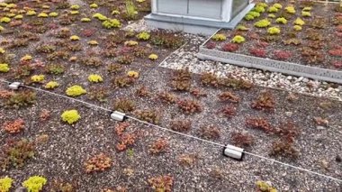 Yıldırım kondüktörü binaları yıldırımlardan korumak için kullanılır. Bir eve zarar verebilecek ya da elektrik teçhizatı yeşil bahçe çatısının en yüksek noktalarına yönlendirilir. Çim, çiçek, çayır, tohum...