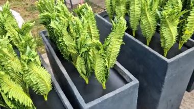 Arka arkaya yerleştirilmiş plastik saksı bir bahçe merkezine yerleştirilmeye hazır. Koridordaki plastik eğreltiotlarının bir satışı ve ekimi