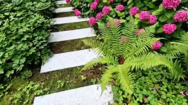 Bahçedeki düz taşlar, ağaç kabuğu parçacıkları ile samanla kaplanmış bir yol oluşturur. İki sıra halinde basamaklar ziyaretçileri parka yönlendirir. Eğreltiotları ve ortancalarla kaplı bir kaldırım, devekuşu eğreltiotu, keman başı