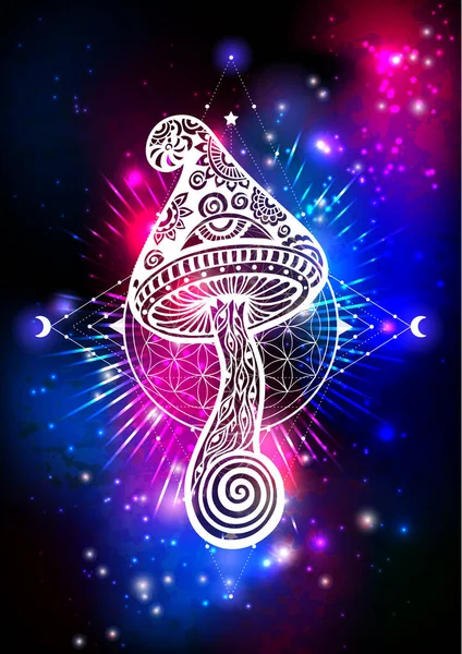 Magiska Svampar Psykedelisk Affisch Vektorillustration Zen Boho Konst Space Galaxy — Stock vektor
