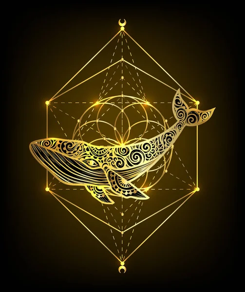 Mandala Baleine Illustration Vectorielle Coloriage Adulte Baleine Animal Mer Dans — Image vectorielle