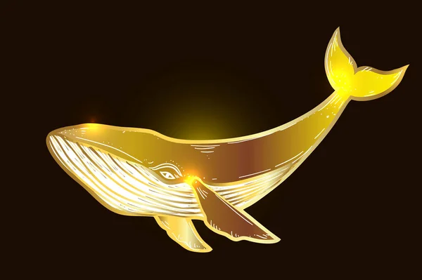 Золотой Кит Нарисовал Векторную Иллюстрацию Морской Горбатый Кит Эскиз Чернила — стоковый вектор
