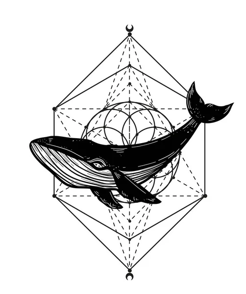 Velrybí Ruka Nakreslila Vektorovou Ilustraci Duchovní Posvátná Geometrie Velryba Hrbatá — Stockový vektor