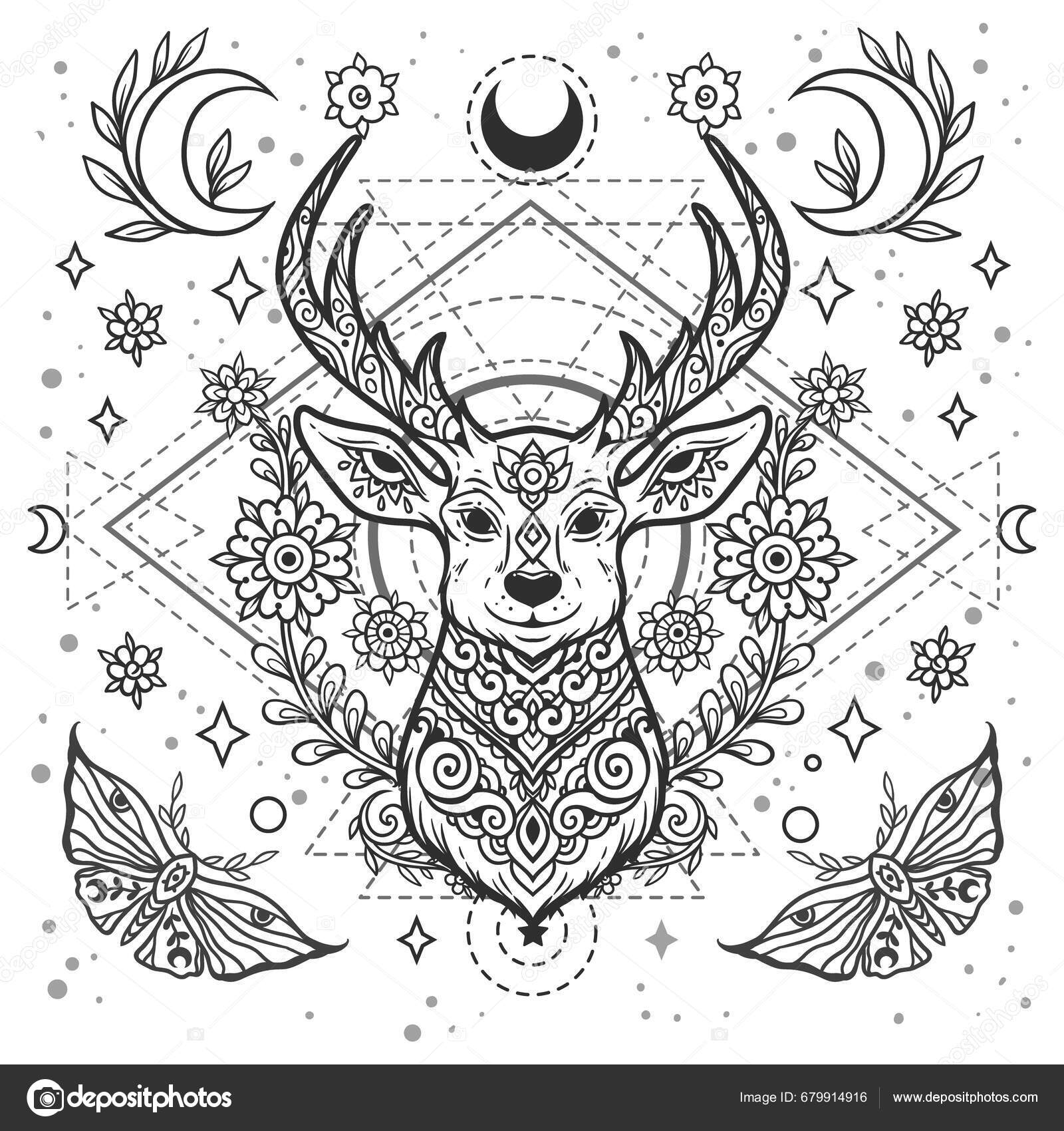 Adult coloring pages Vectors & Illustrations for Free Download