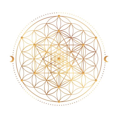 Kutsal Geometri Sembolü. Vektör çizimi. Gizemli, esrarengiz hayat çiçeği. Hayatın altın tohumu. Mandala nilüfer çiçeği