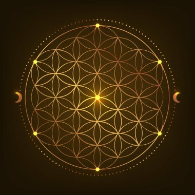 Kutsal Geometri Sembolü. Vektör çizimi. Gizemli, esrarengiz hayat çiçeği. Hayatın altın tohumu. Siyah arkaplanda Mandala nilüfer çiçeği