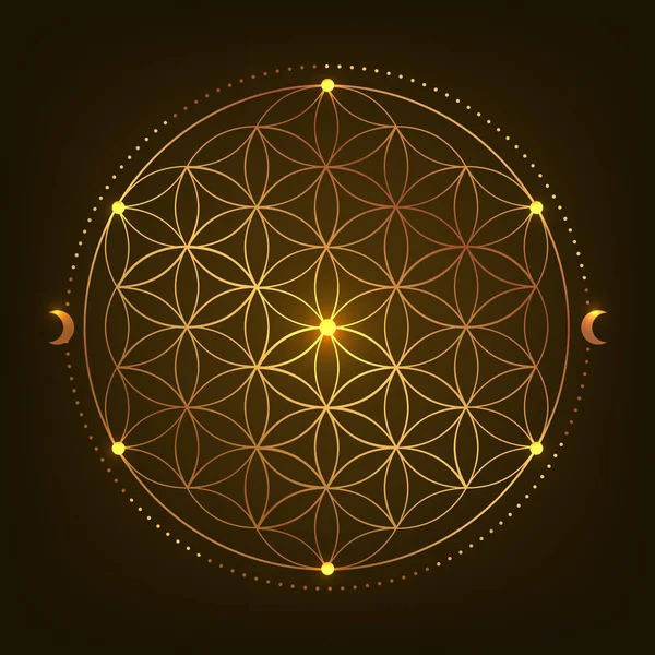 Kutsal Geometri Sembolü. Vektör çizimi. Gizemli, esrarengiz hayat çiçeği. Hayatın altın tohumu. Siyah arkaplanda Mandala nilüfer çiçeği