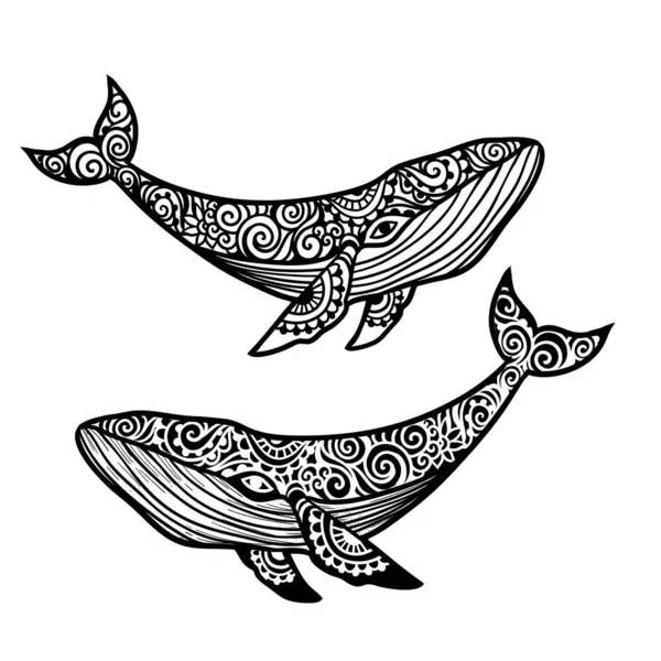 Balina mandala. Vektör çizimi. Yetişkin boyama sayfası. Zen boho tarzında balina deniz hayvanı. Kutsal, huzurlu. Dövme izi