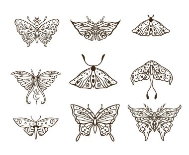 Kelebek Vektörü çizimi. Klasik el yapımı dövme. Zen boho tarzında sihirli hayvan doğası. Siyah ve beyaz