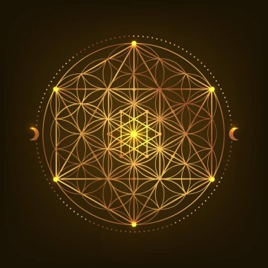 Kutsal Geometri Sembolü. Vektör çizimi. Gizemli, esrarengiz hayat çiçeği. Hayatın altın tohumu. Mandala nilüfer çiçeği