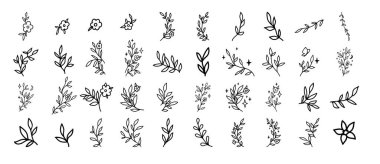 Yapraklar hazır. Vektör çizimi. El yapımı dekoratif elementler. Kelebekli çiçekler