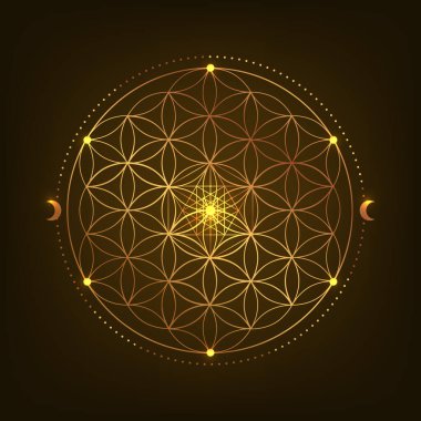 Kutsal Geometri Sembolü. Vektör çizimi. Gizemli, esrarengiz hayat çiçeği. Hayatın altın tohumu. Siyah arkaplanda Mandala nilüfer çiçeği