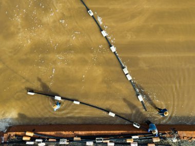 İşçiler tuz tarlasında çalışıyor.