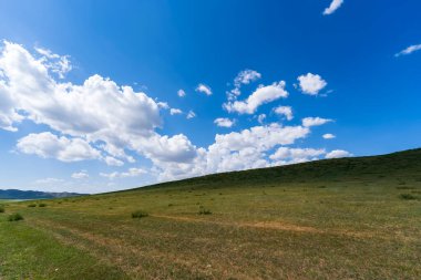 Mavi gökyüzünün altındaki güzel çayır beyaz bulutlar