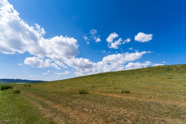 Mavi gökyüzünün altındaki güzel çayır beyaz bulutlar