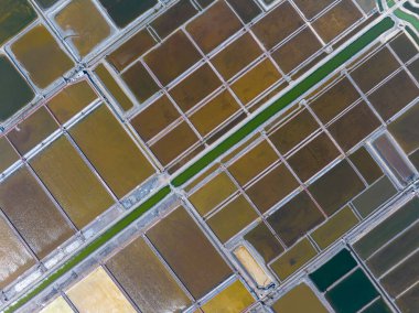 Tuz tarlasının manzarası, tuz tarlasının havadan çekilmiş fotoğrafı.