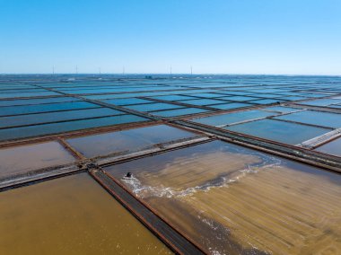 Tuz tarlasında çalışanlar, tuz tarlalarında tuz üretenler.
