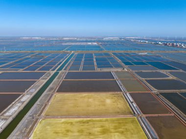 Tuz tarlasında çalışanlar, tuz tarlalarında tuz üretenler.