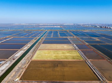 Tuz tarlasında çalışanlar, tuz tarlalarında tuz üretenler.