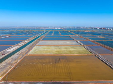 Tuz tarlasında çalışanlar, tuz tarlalarında tuz üretenler.