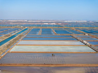 Tuz tarlasında çalışanlar, tuz tarlalarında tuz üretenler.