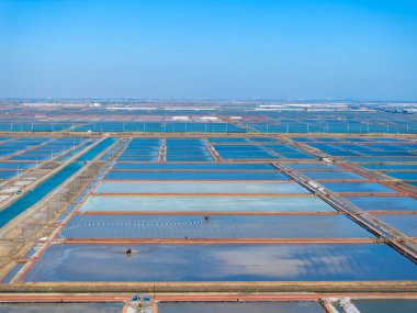 Tuz tarlasında çalışanlar, tuz tarlalarında tuz üretenler.