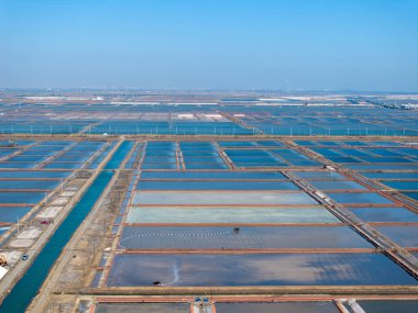 Tuz tarlasında çalışanlar, tuz tarlalarında tuz üretenler.