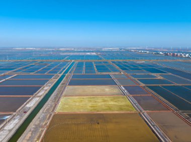 Tuz tarlasında çalışanlar, tuz tarlalarında tuz üretenler.