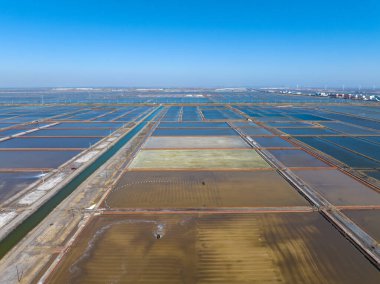 Tuz tarlasında çalışanlar, tuz tarlalarında tuz üretenler.