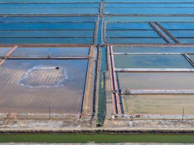 Tuz tarlasında çalışanlar, tuz tarlalarında tuz üretenler.
