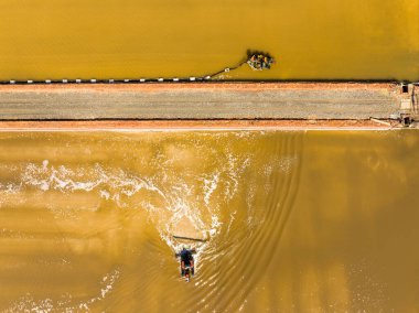 Tuz tarlasında çalışanlar, tuz tarlalarında tuz üretenler.