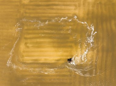 Tuz tarlasında çalışanlar, tuz tarlalarında tuz üretenler.