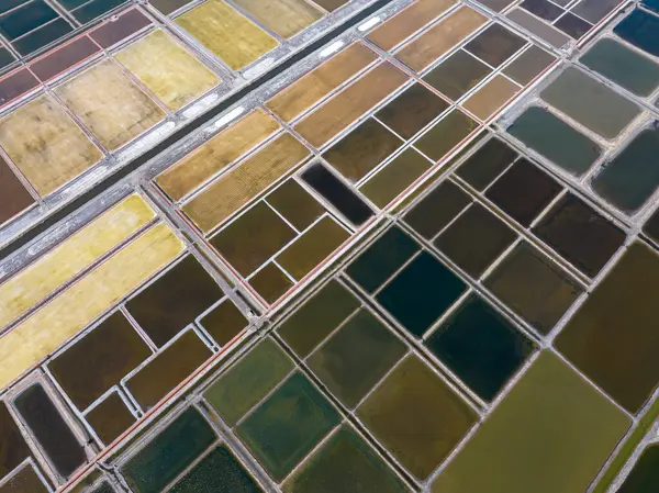 Tuz tarlasının manzarası, tuz tarlasının havadan çekilmiş fotoğrafı.